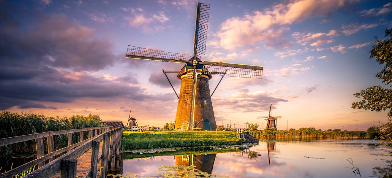 Hollandaca Noter Onayl� Terc�me
